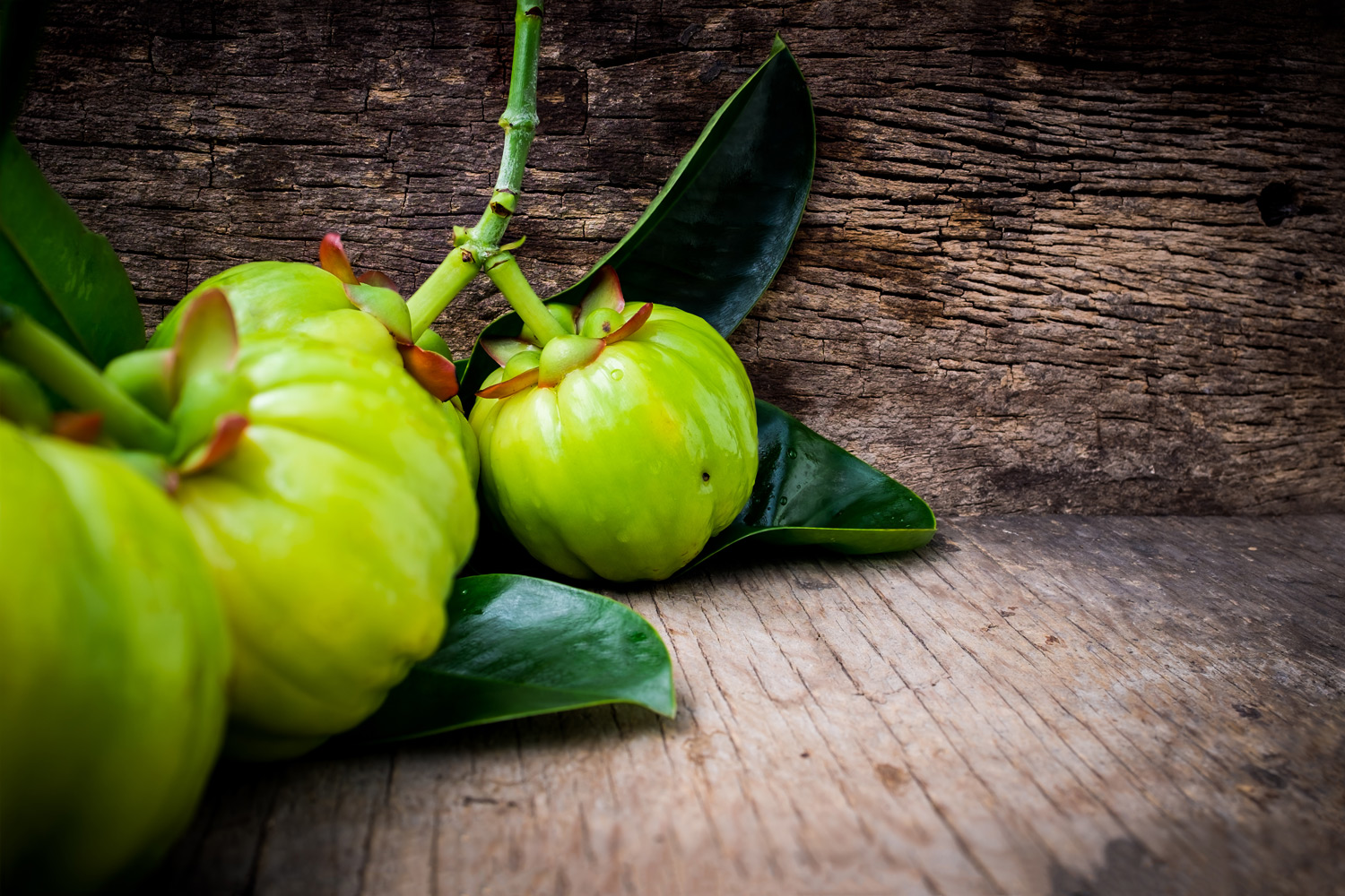 Garcinia atroviridis